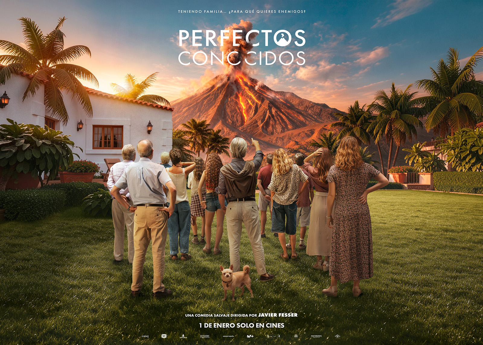 Perfectos conocidos